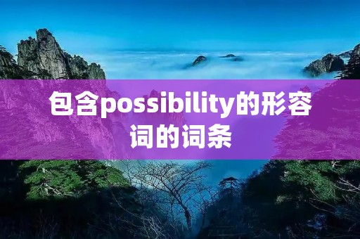 包含possibility的形容词的词条