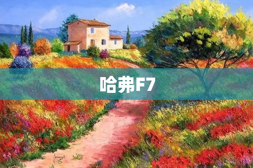 哈弗F7:豪华SUV的新选择 哈弗F7:豪华SUV的新选择