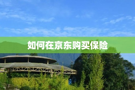 如何在京东购买保险