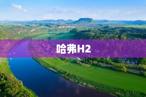 哈弗H2:小型SUV中的新宠 哈弗H2:小型SUV中的新宠