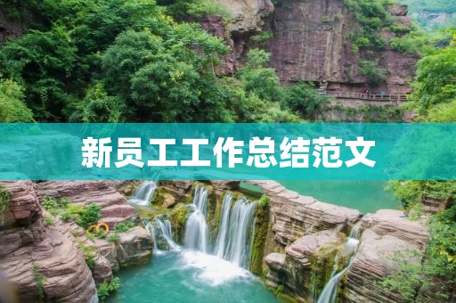 新员工工作总结范文