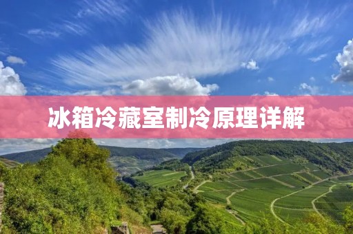 冰箱冷藏室制冷原理详解 冰箱冷藏室制冷原理详解