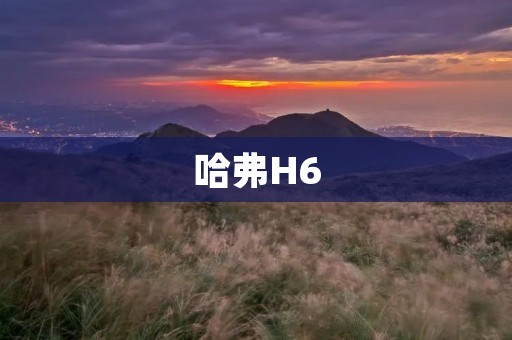 哈弗H6:舒适、安全、时尚的SUV之选 哈弗H6:舒适、安全、时尚的SUV之选