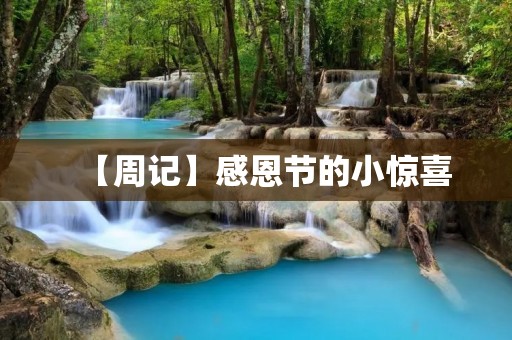 【周记】感恩节的小惊喜 【周记】感恩节的小惊喜