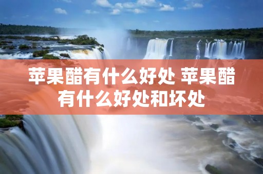 苹果醋有什么好处 苹果醋有什么好处和坏处