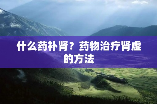 什么药补肾?药物治疗肾虚的方法 什么药补肾?药物治疗肾虚的方法