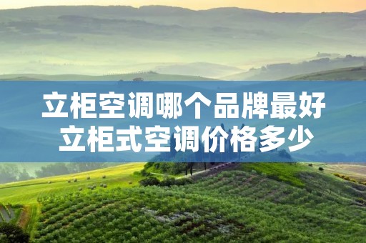 立柜空调哪个品牌最好 立柜式空调价格多少 立柜空调哪个品牌最好 立柜式空调价格多少