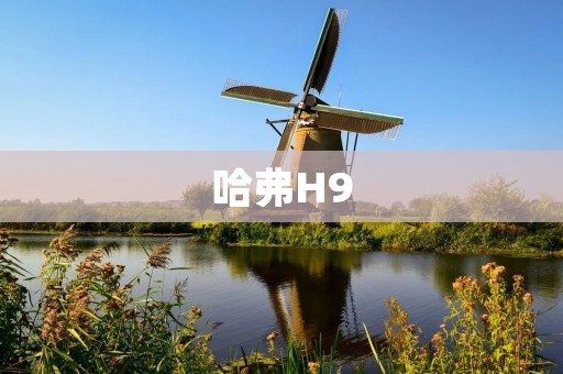 哈弗H9:领先的SUV之选 哈弗H9:领先的SUV之选