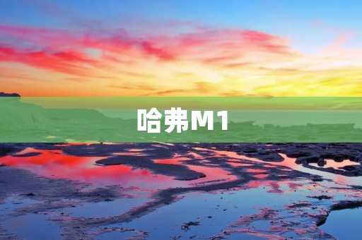 哈弗M1:城市新宠儿 哈弗M1:城市新宠儿