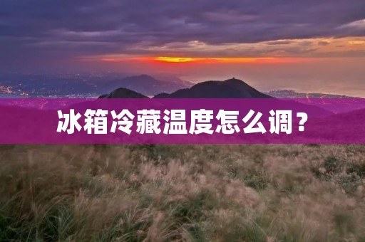 冰箱冷藏温度怎么调？