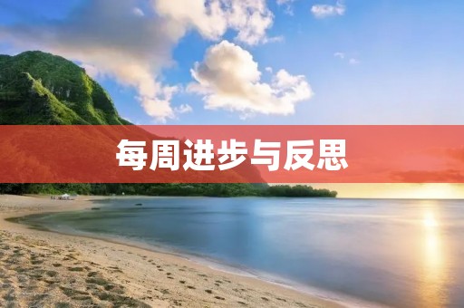 每周进步与反思
