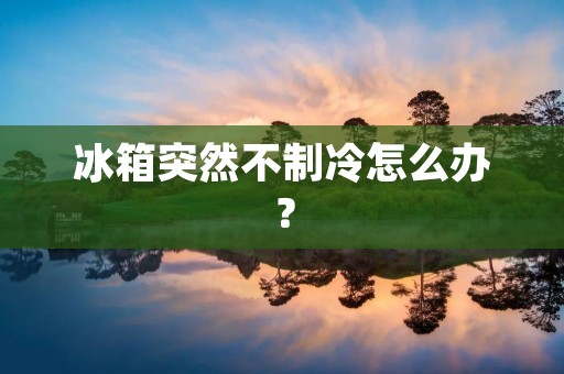 冰箱突然不制冷怎么办？