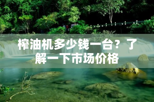 榨油机多少钱一台?了解一下市场价格