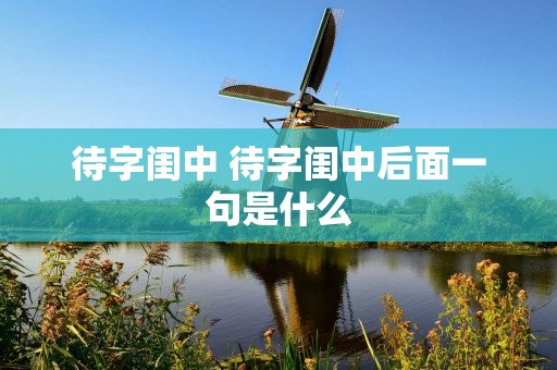待字闺中 待字闺中后面一句是什么