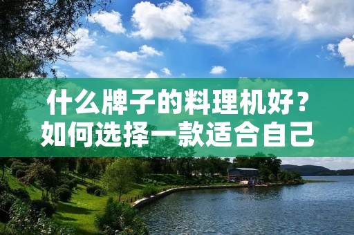 什么牌子的料理机好?如何选择一款适合自己的料理机?