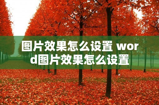 图片效果怎么设置 word图片效果怎么设置