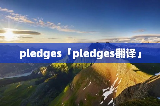 pledges「pledges翻译」