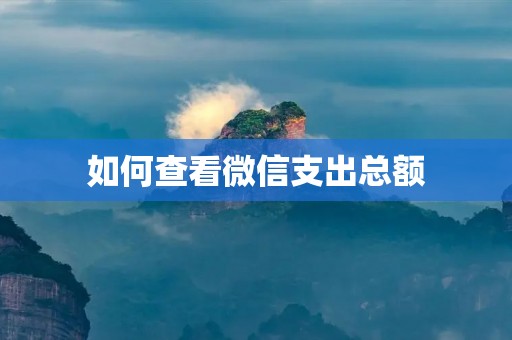 如何查看微信支出总额