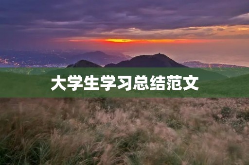 大学生学习总结范文:如何高效学习