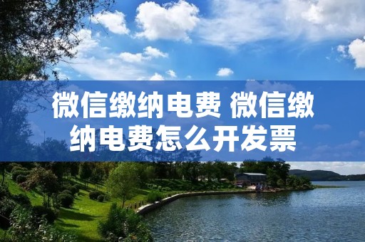 微信缴纳电费 微信缴纳电费怎么开发票