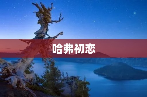 哈弗初恋：回忆青涩的爱情