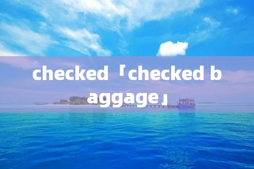 checked「checked baggage」 checked「checked baggage」