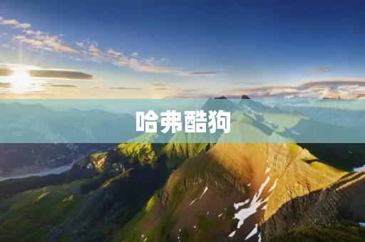 哈弗酷狗:颠覆传统SUV市场的黑马 哈弗酷狗:颠覆传统SUV市场的黑马