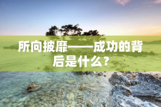 所向披靡——成功的背后是什么?