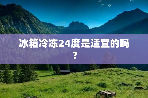 冰箱冷冻24度是适宜的吗？