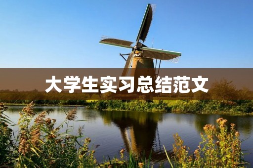 大学生实习总结范文:探寻职场的奥秘