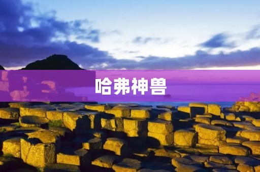 哈弗神兽:中国汽车行业的新贵 哈弗神兽:中国汽车行业的新贵