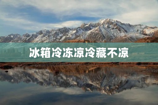 冰箱冷冻凉冷藏不凉：原因及解决方法