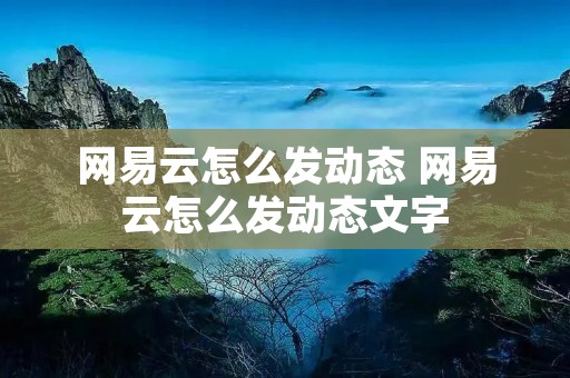 网易云怎么发动态 网易云怎么发动态文字