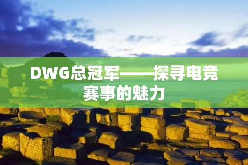 DWG总冠军——探寻电竞赛事的魅力 DWG总冠军——探寻电竞赛事的魅力