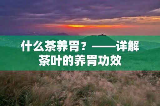 什么茶养胃?——详解茶叶的养胃功效 什么茶养胃?——详解茶叶的养胃功效