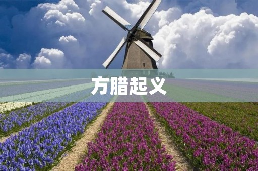 方腊起义:一场为民族独立而战的革命斗争 方腊起义:一场为民族独立而战的革命斗争