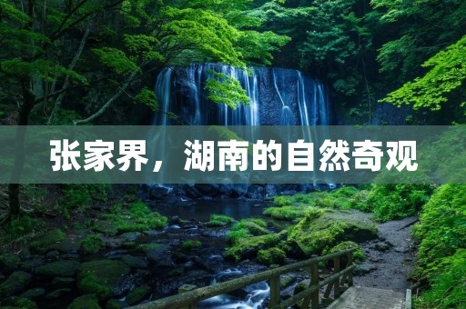 张家界,湖南的自然奇观