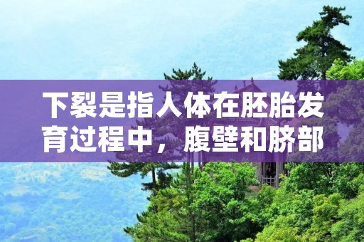 下裂是指人体在胚胎发育过程中,腹壁和脐部未能完全闭合,导致腹腔内的器官部分或全部穿出腹壁,形成腹壁缺损。下裂一般是由于染色体异常、基因突变或环境因素等多种因素所致。 下裂是指人体在胚胎发育过程中,腹壁和脐部未能完全闭合,导致腹腔内的器官部分或全部穿出腹壁,形成腹壁缺损。下裂一般是由于染色体异常、基因突变或环境因素等多种因素所致。