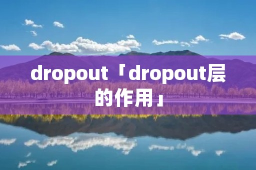 dropout「dropout层的作用」 dropout「dropout层的作用」