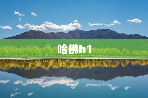 哈佛h1:探索未来教育的新时代 哈佛h1:探索未来教育的新时代