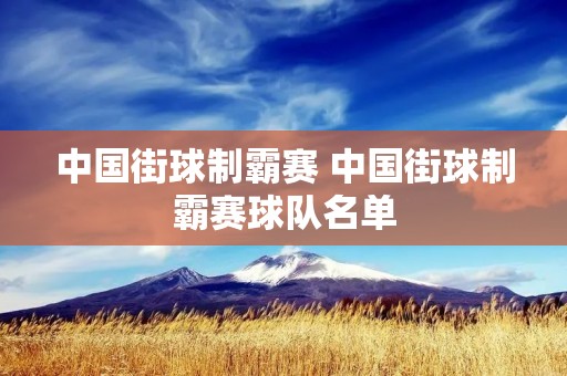 中国街球制霸赛 中国街球制霸赛球队名单 中国街球制霸赛 中国街球制霸赛球队名单