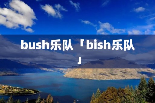 bush乐队「bish乐队」