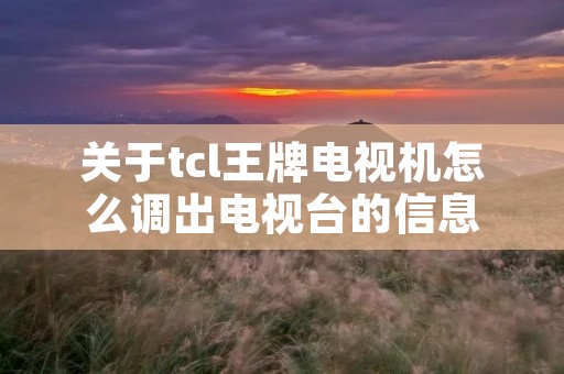 关于tcl王牌电视机怎么调出电视台的信息