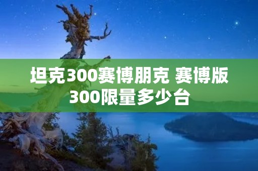 坦克300赛博朋克 赛博版300限量多少台