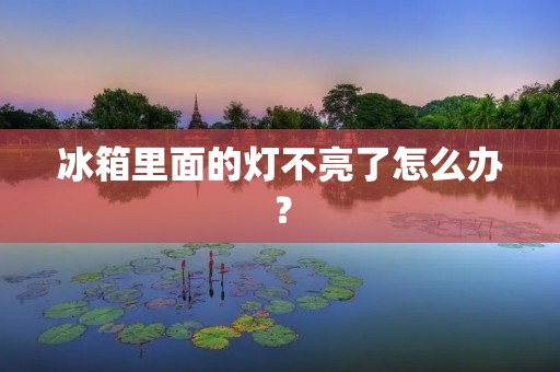 冰箱里面的灯不亮了怎么办? 冰箱里面的灯不亮了怎么办?