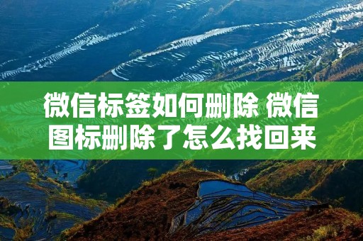 微信标签如何删除 微信图标删除了怎么找回来