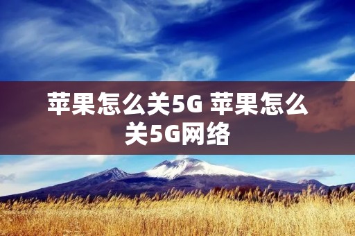 苹果怎么关5G 苹果怎么关5G网络 苹果怎么关5G 苹果怎么关5G网络