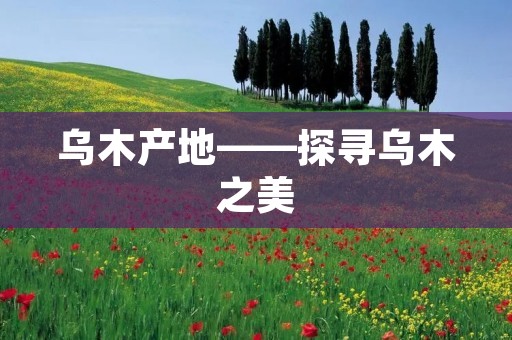乌木产地——探寻乌木之美