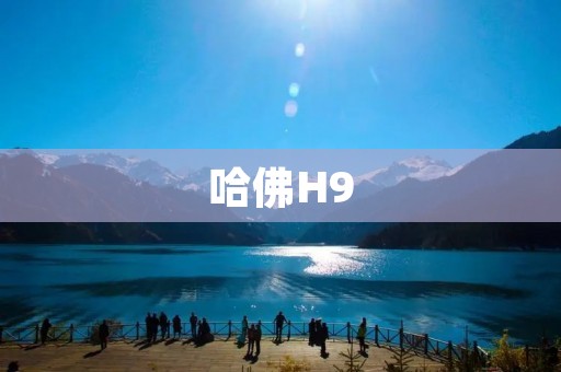 哈佛H9:引领未来出行的先锋 哈佛H9:引领未来出行的先锋