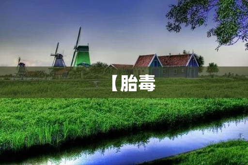 【胎毒:胎儿发育过程中的毒素积累】 【胎毒:胎儿发育过程中的毒素积累】
